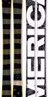 The Allplay "MERICA! Limited Edition Ski Graphic Image