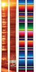 The Allplay "MARGARITA" Limited Edition Ski Graphic Image
